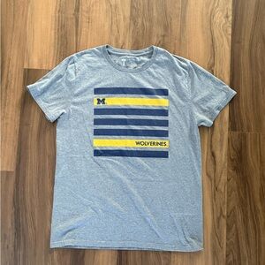 Michigan Wolverines Gray Striped T-Shirt